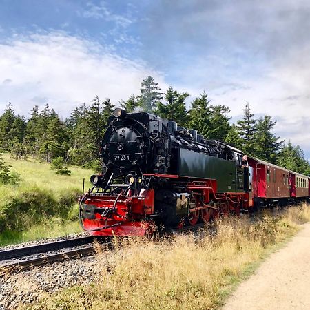 FewoOase Fuchsbau mit Dampfdusche und Kamin Bad Harzburg Exterior foto