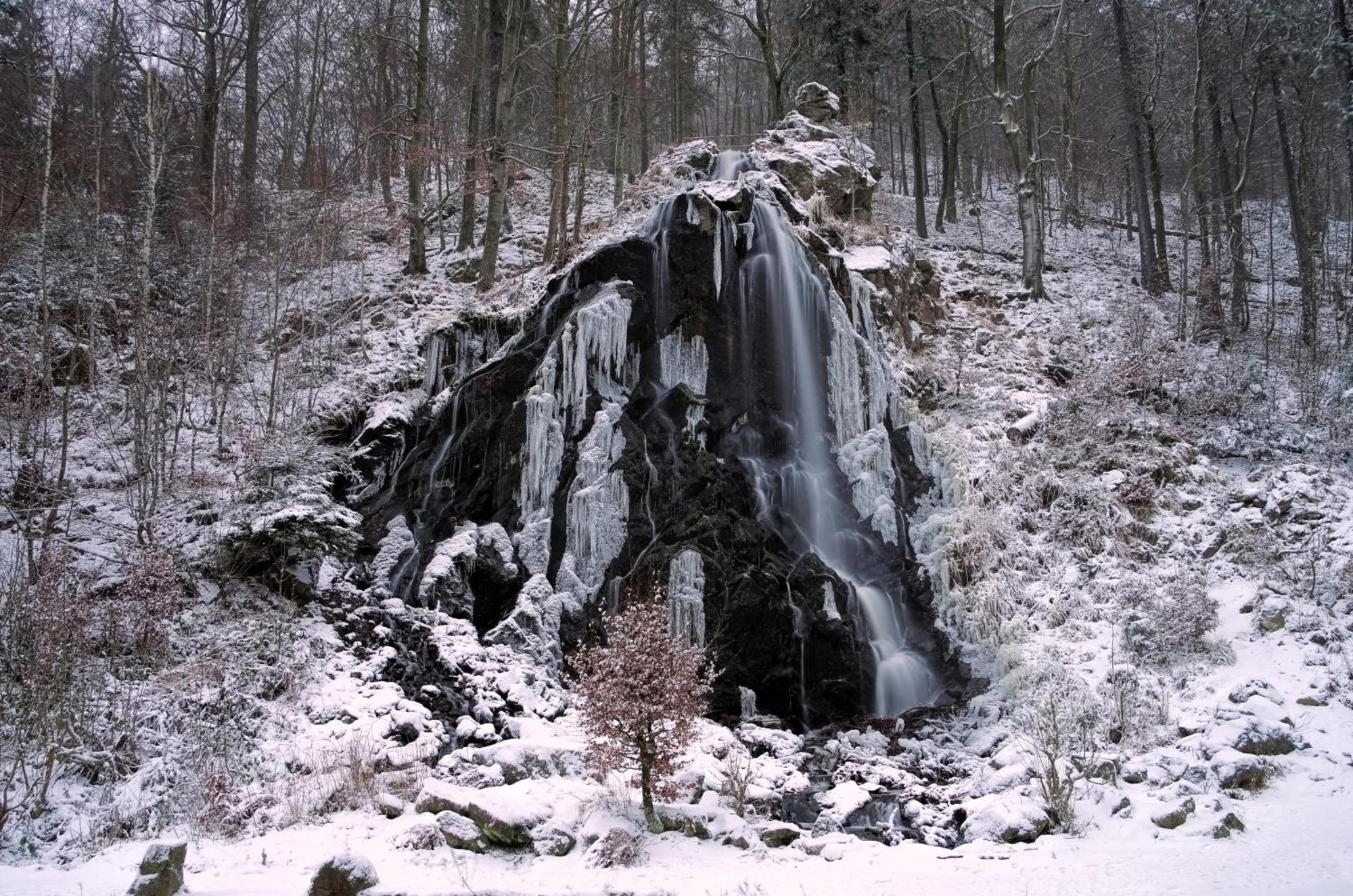 FewoOase Fuchsbau mit Dampfdusche und Kamin Bad Harzburg Exterior foto